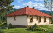 A-110 murowany - wizualizacja 6