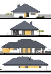 Arkansas - wizualizacja 4