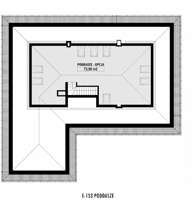 Rzut projektu E-153 -  