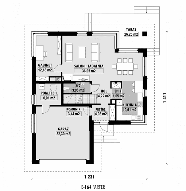 Rzut projektu E-164 -  