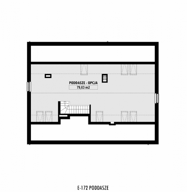 Rzut projektu E-172 -  