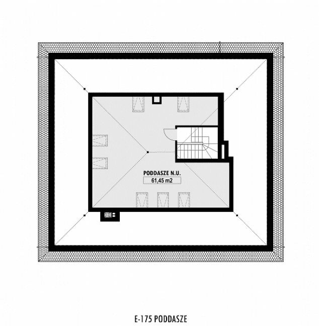 Rzut projektu E-175 -  
