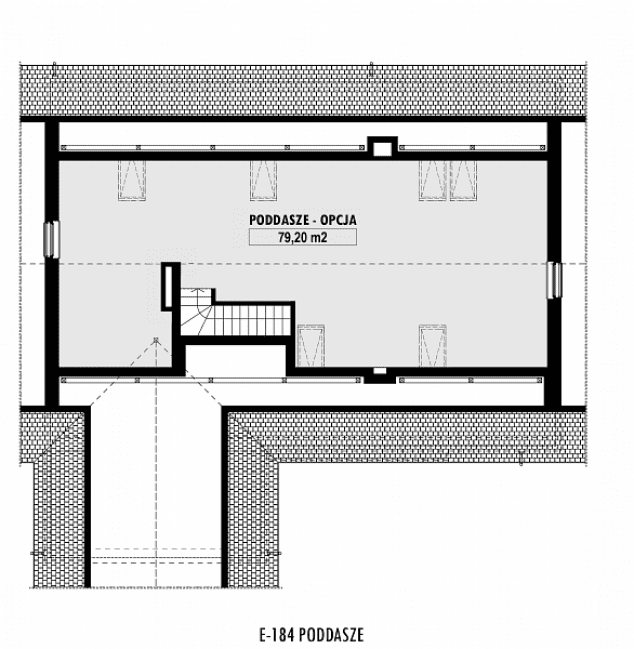 Rzut projektu E-184 -  