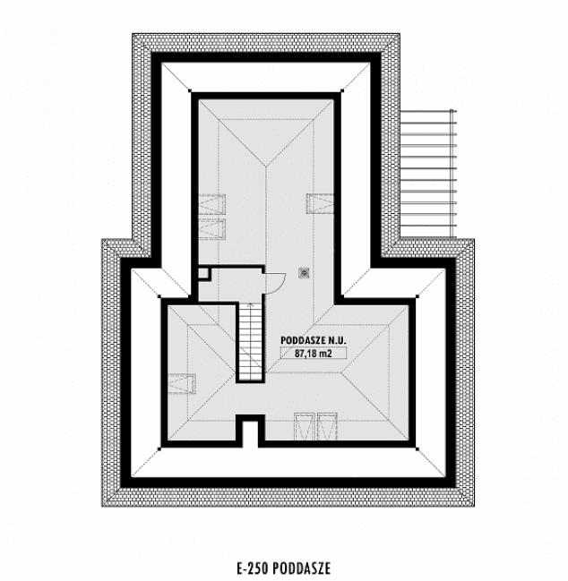 Rzut projektu E-250 -  