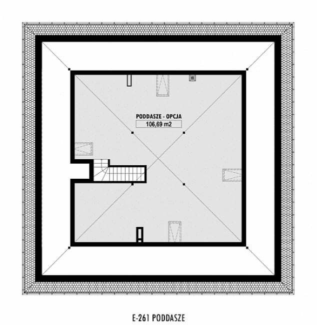 Rzut projektu E-261 -  