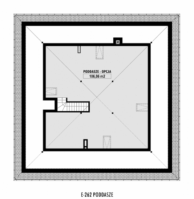 Rzut projektu E-262 -  
