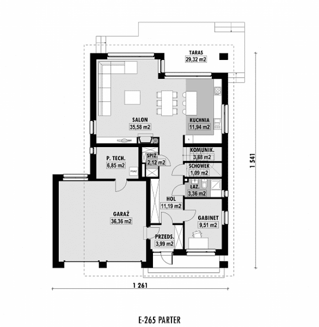 Rzut projektu E-265 -  