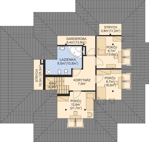 Rzut projektu APS 247 - 