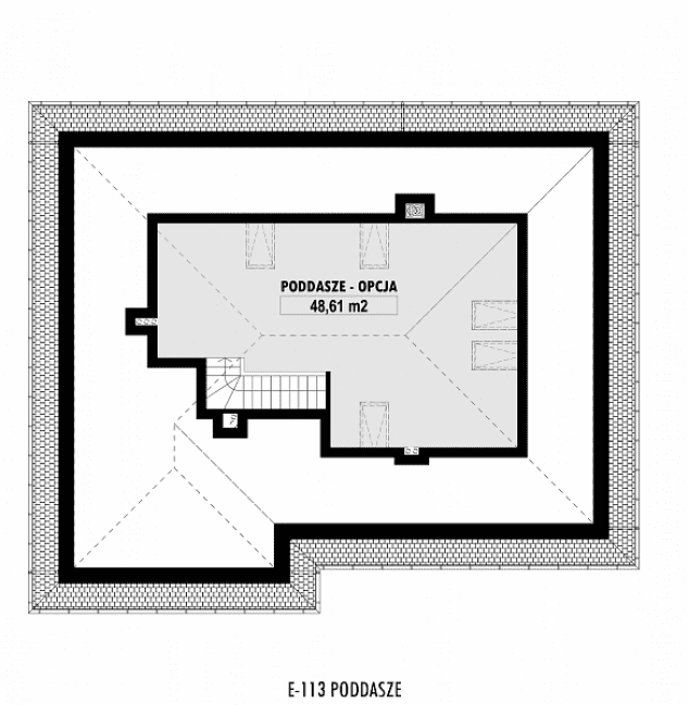 Rzut projektu E-113 -  