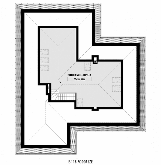Rzut projektu E-118 -  