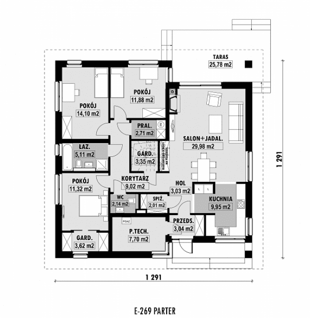 Rzut projektu E-269 -  