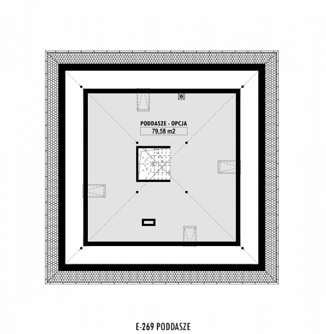 Rzut projektu E-269 -  
