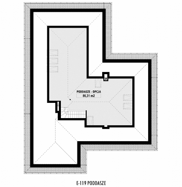 Rzut projektu E-119 -  