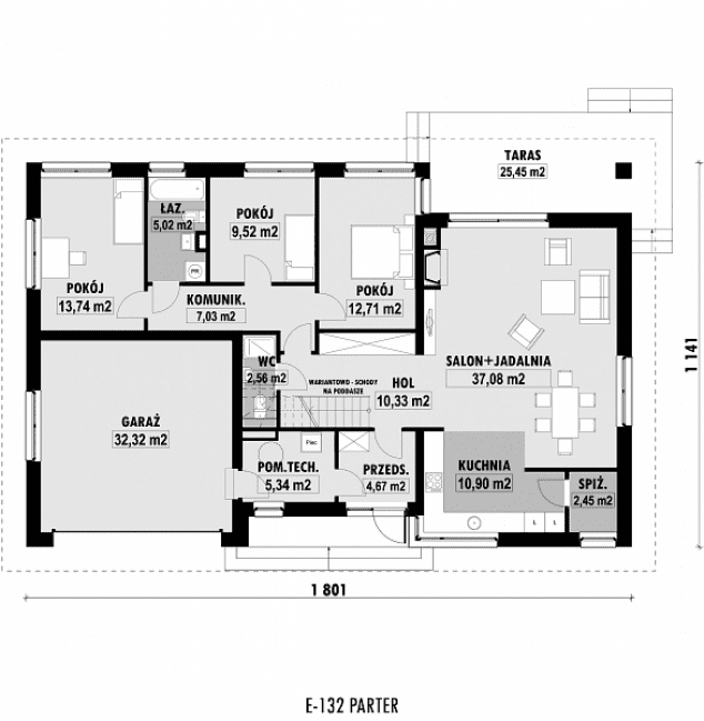 Rzut projektu E-132 -  