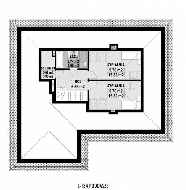 Rzut projektu E-134 -  