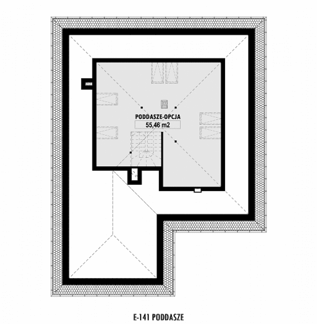 Rzut projektu E-141 -