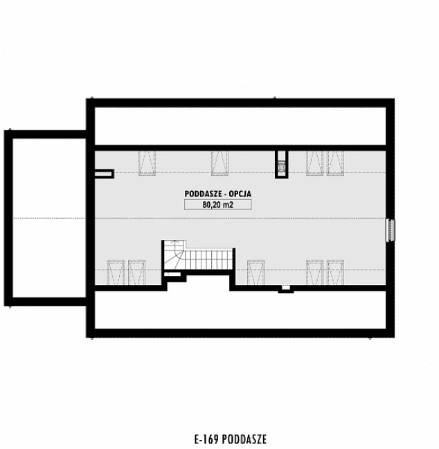 Rzut projektu E-169 -  