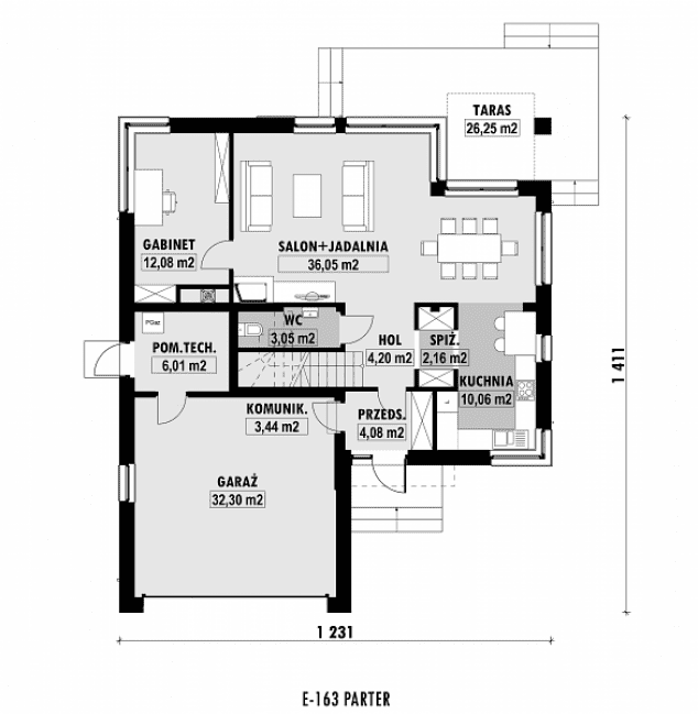 Rzut projektu E-163 -  