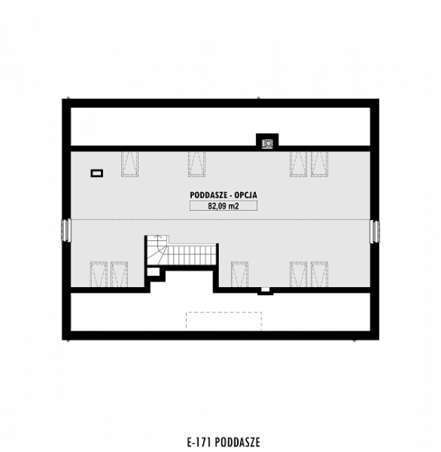 Rzut projektu E-171 -  