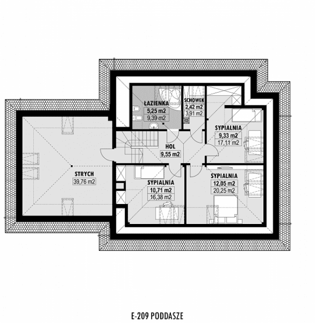 Rzut projektu E-209 -
