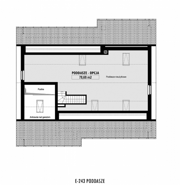 Rzut projektu E-243 -  