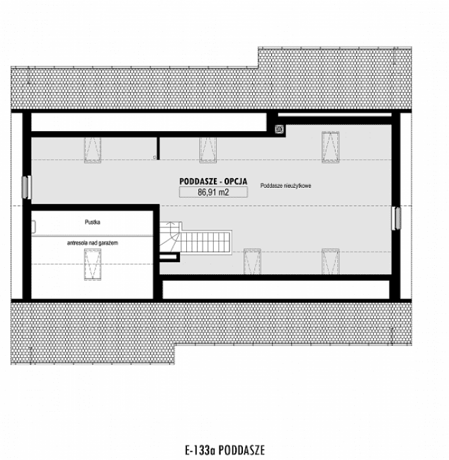 Rzut projektu E-133a -
