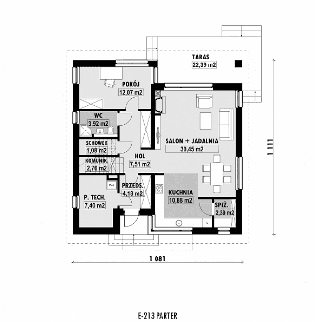 Rzut projektu E-213 -