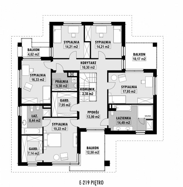 Rzut projektu E-219 -