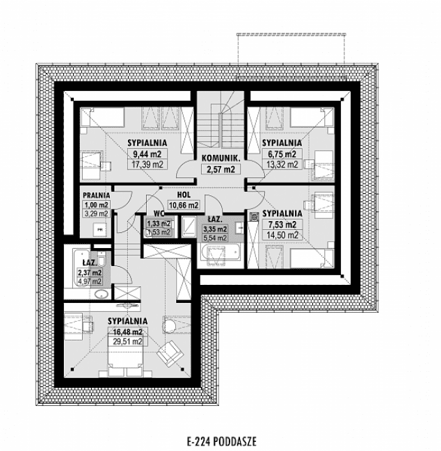 Rzut projektu E-224 -  