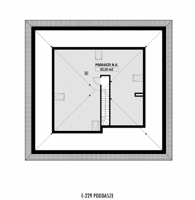 Rzut projektu E-229 -