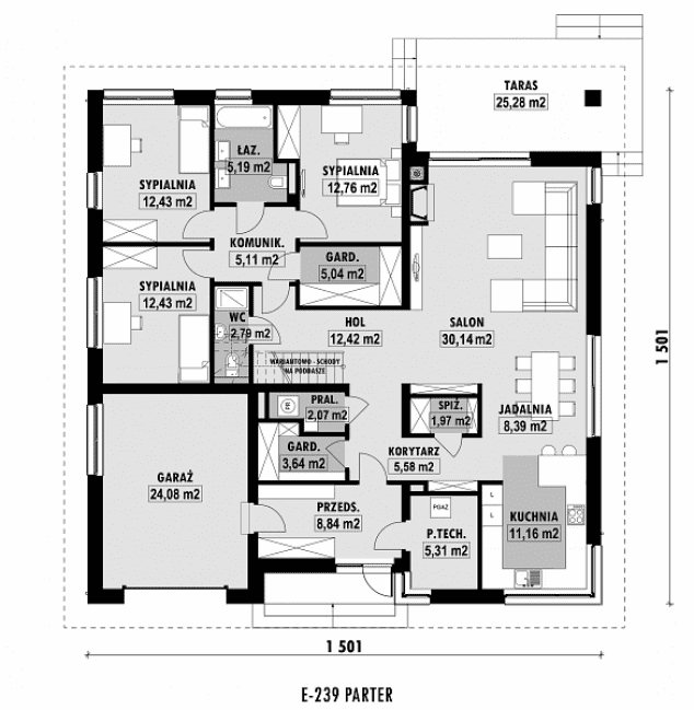 Rzut projektu E-239 -