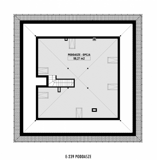 Rzut projektu E-239 -