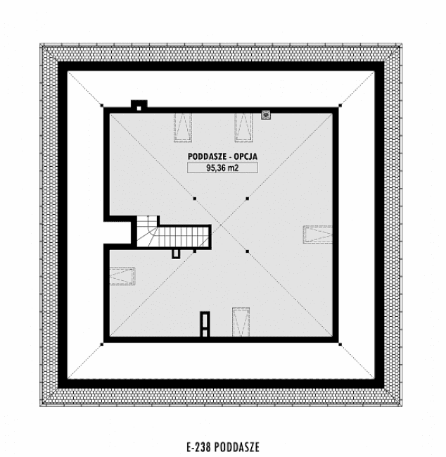 Rzut projektu E-238 -  