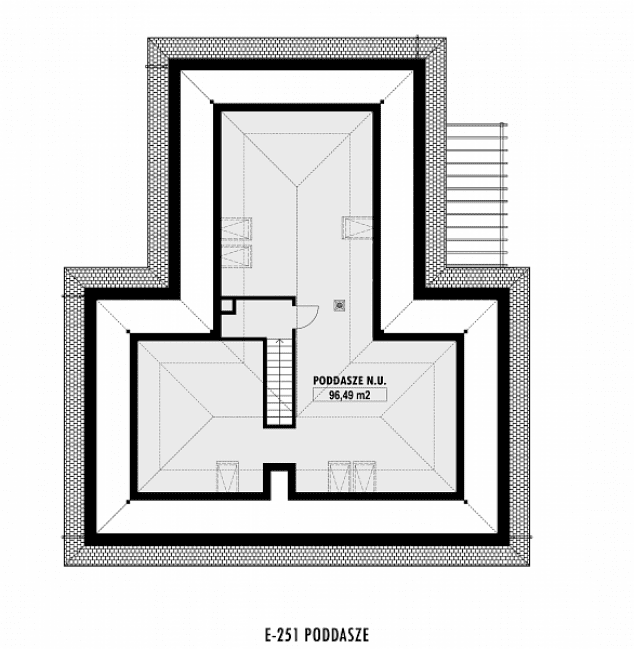 Rzut projektu E-251 -  