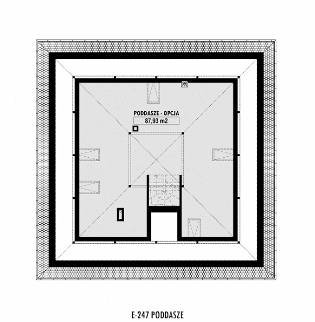 Rzut projektu E-247 -  