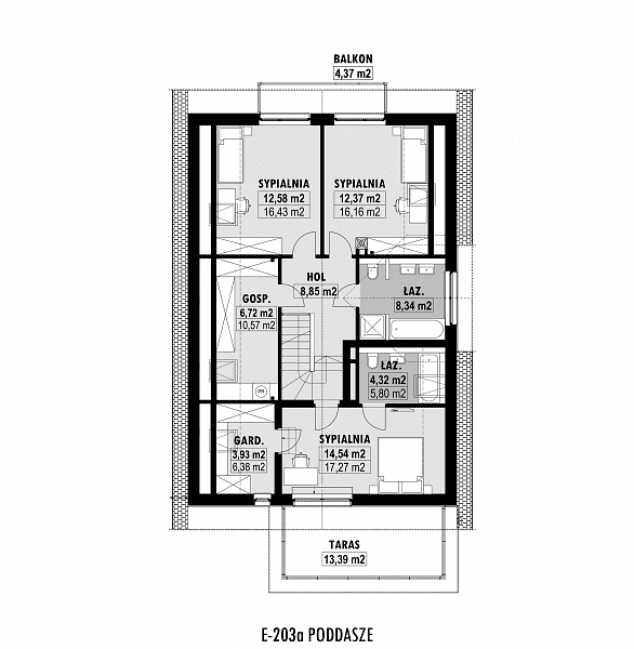 Rzut projektu E-203a -