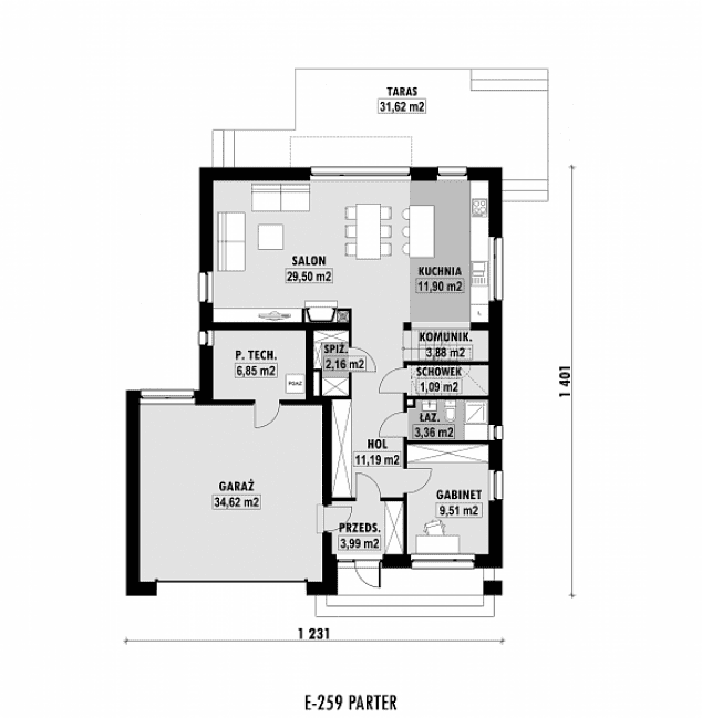 Rzut projektu E-259 -