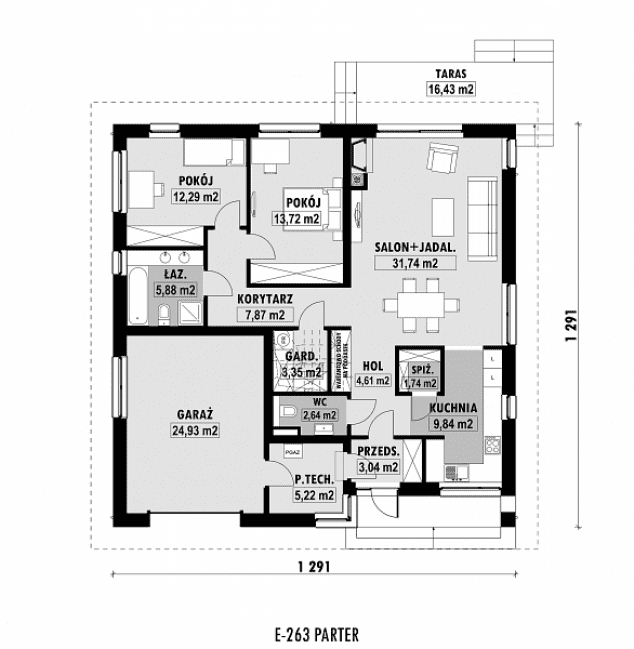 Rzut projektu E-263 -  