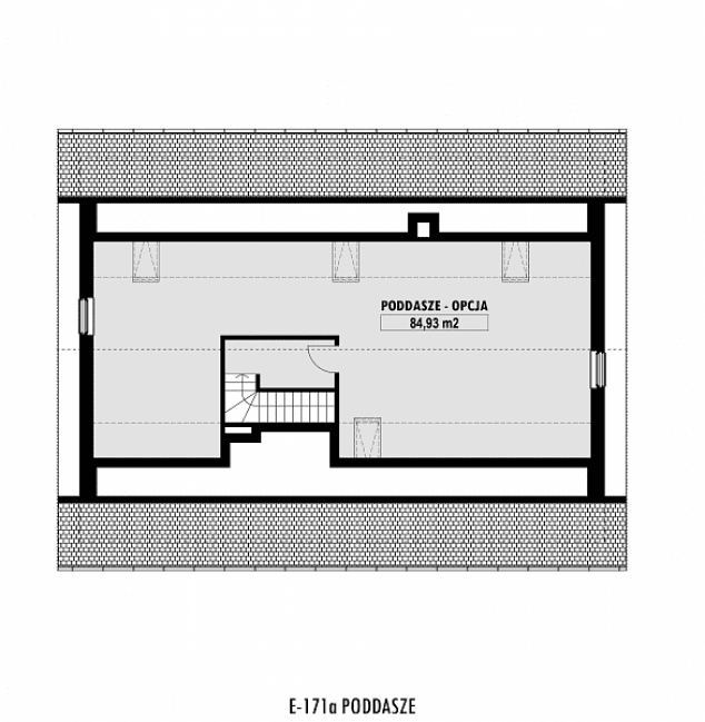 Rzut projektu E-171a -  