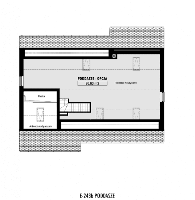 Rzut projektu E-243b -  