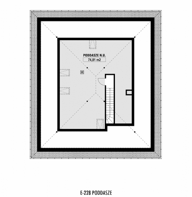 Rzut projektu E-228 -  
