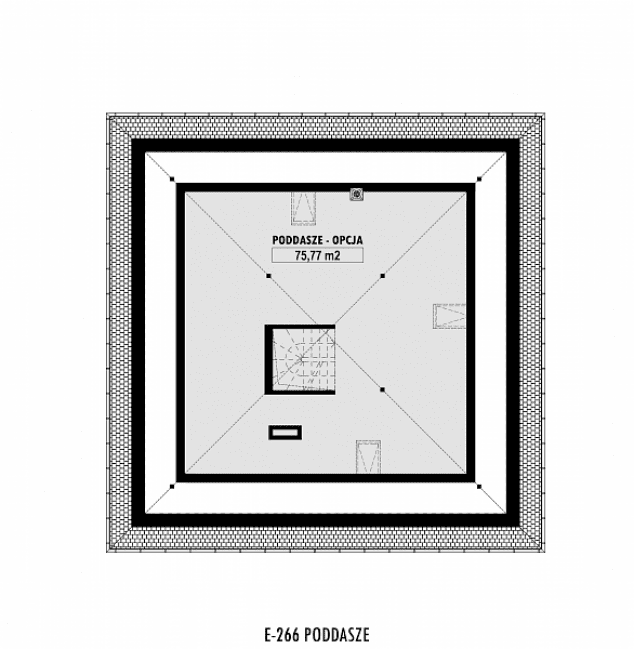 Rzut projektu E-266 -  