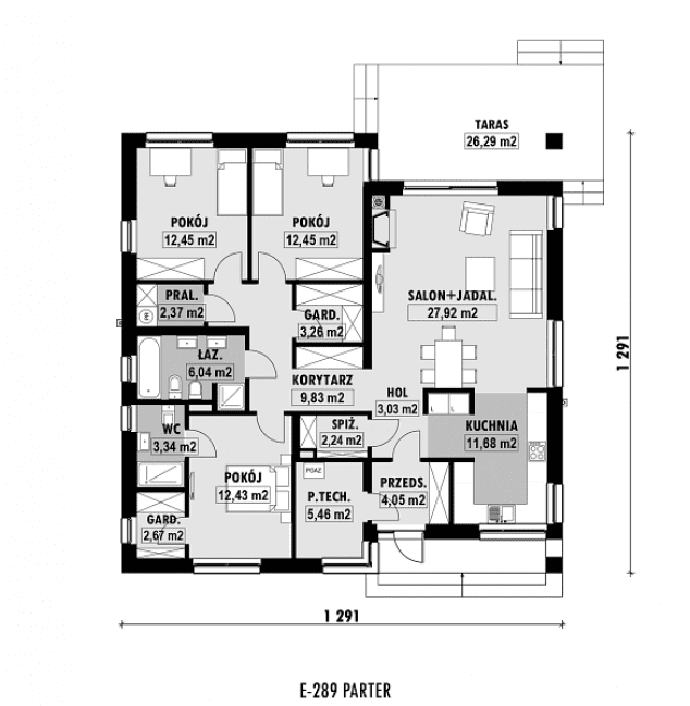 Rzut projektu E-289 -