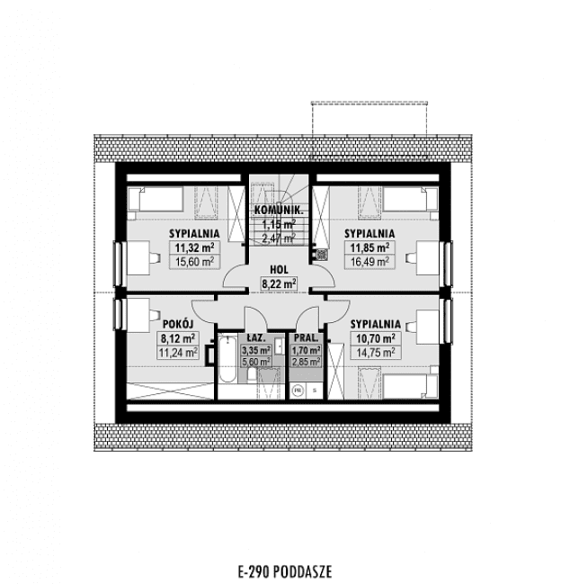 Rzut projektu E-290 -  