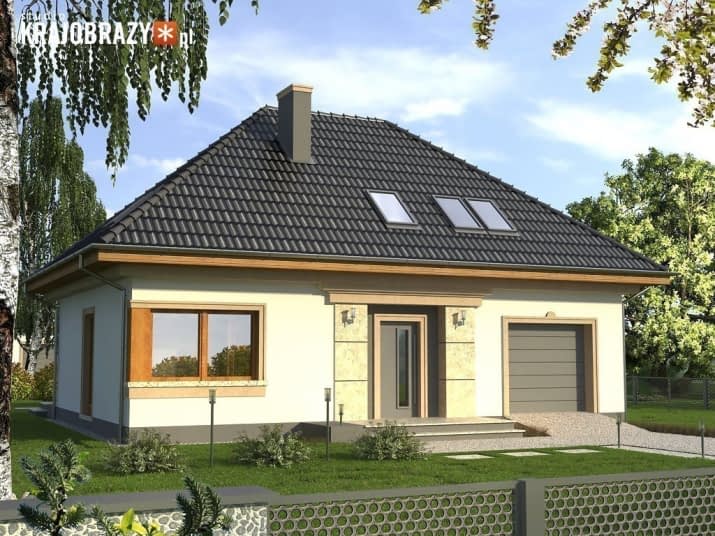 Boss z garażem - wizualizacja 2