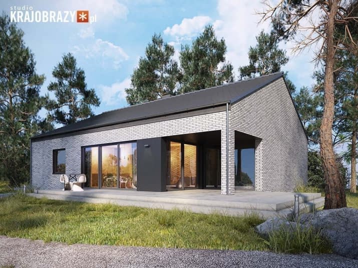 Studio 49 - wizualizacja 2