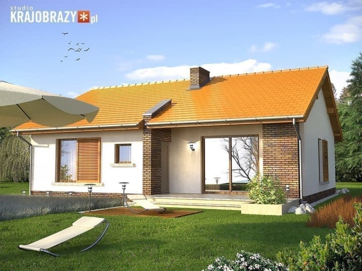 Texas - wizualizacja 2