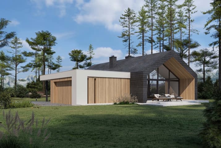 NewHouse 716 - wizualizacja 2