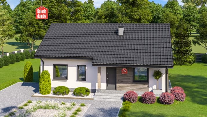 Dom przy Bukowej 39 - wizualizacja 2