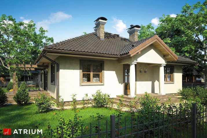 S-GL 580 Texas - wizualizacja 2